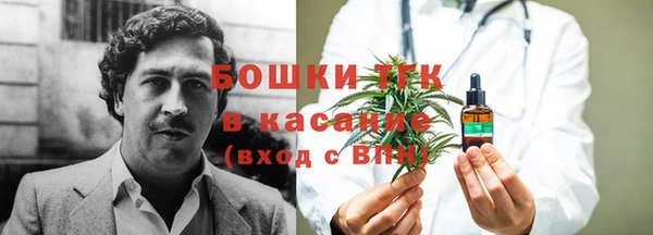 прущие крисы Верея