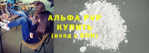 прущие крисы Верея
