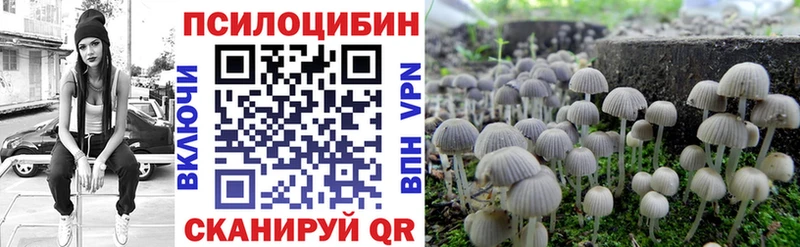 KRAKEN ССЫЛКА  Володарск  Галлюциногенные грибы Magic Shrooms 